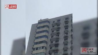 石家庄天苑爆料案件最新,揭秘背后惊人真相 第1张 石家庄天苑爆料案件最新,揭秘背后惊人真相 第1张