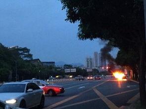 深圳少年宫爆料事件视频,真相与反思  第1张