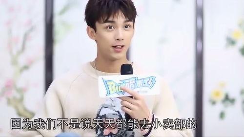 吴磊最新消息爆料,揭秘当红小生的幕后故事与成长轨迹  第1张